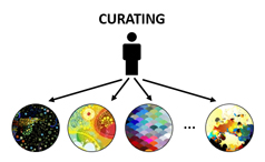 curating-diagram